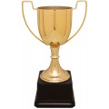Zinc Metal Cup -Gold
